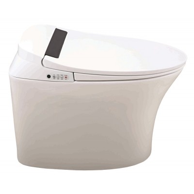 Luxury one piece soft close automatic toilet flusher